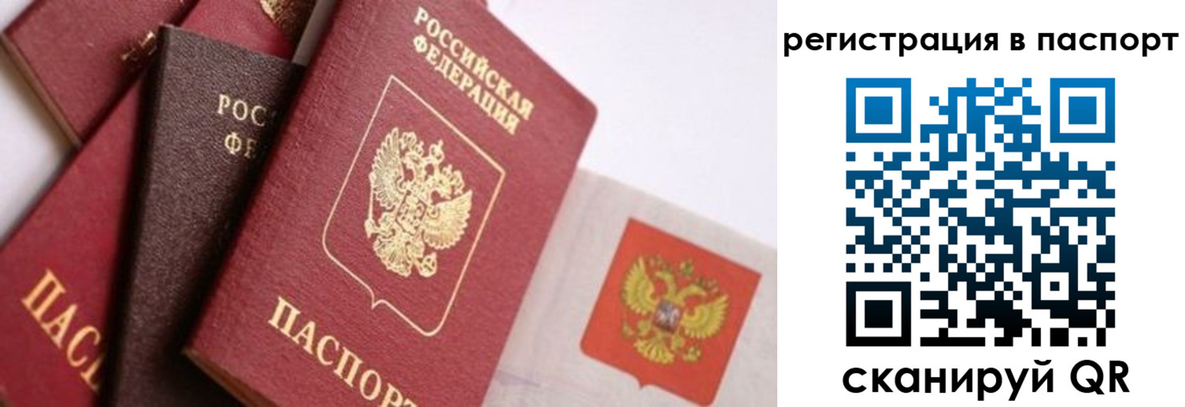 прописка в квартире в Калининградской области